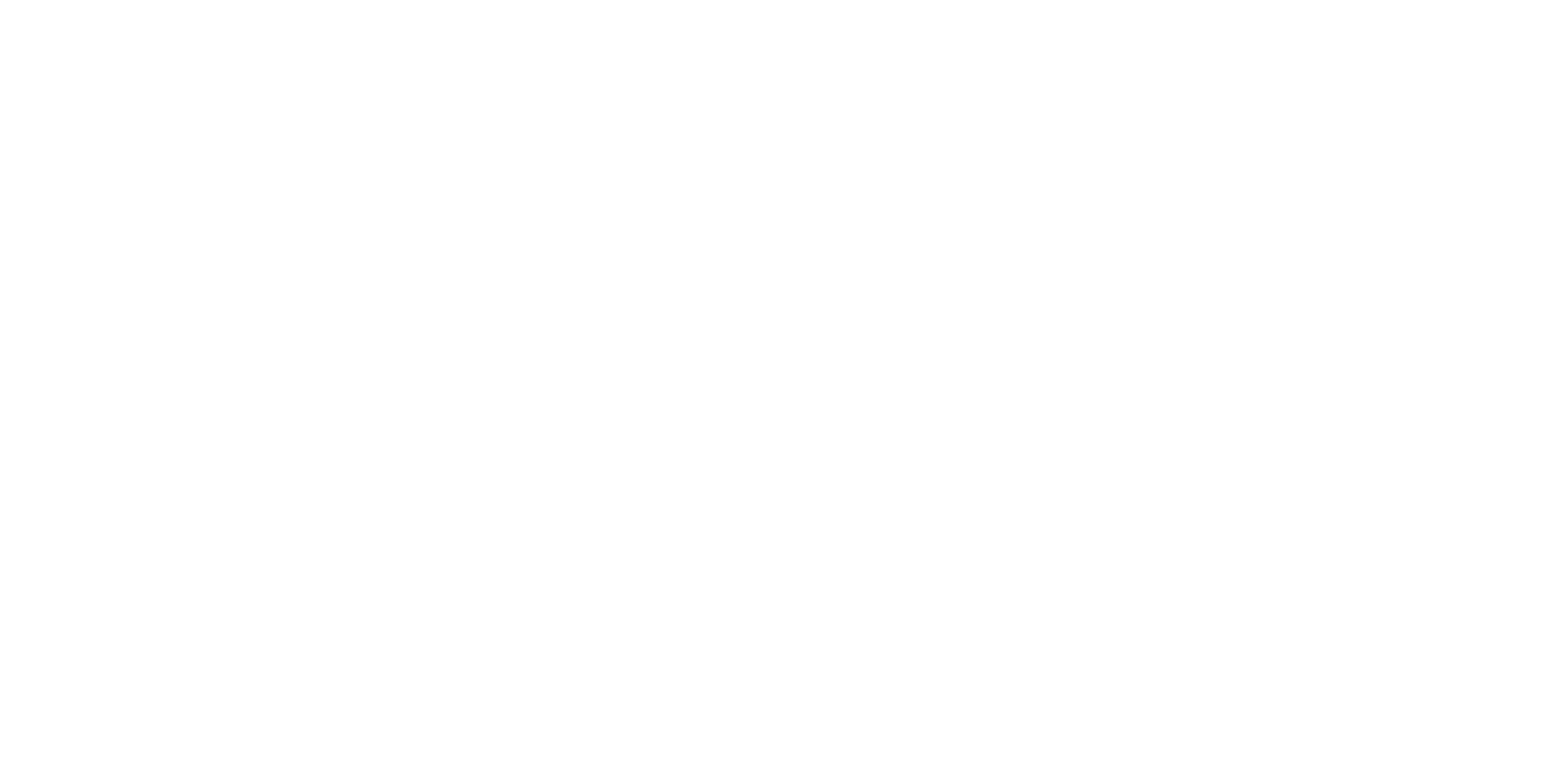 AW Expeditions logo